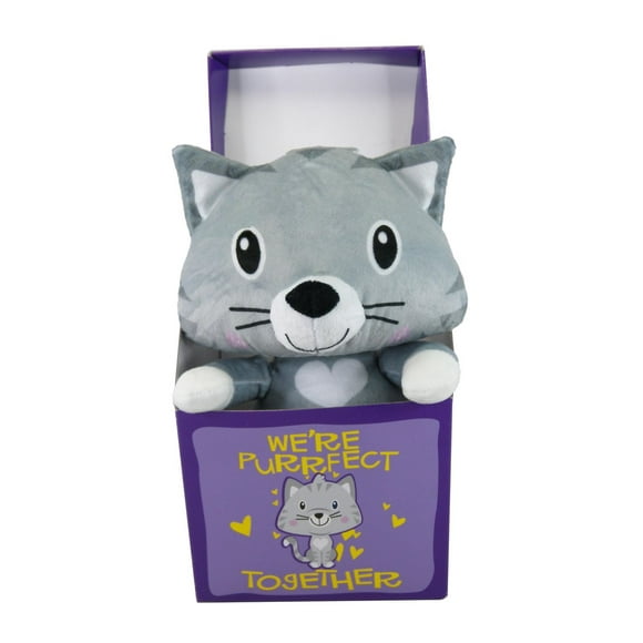 Kitty dans une boîte cadeau