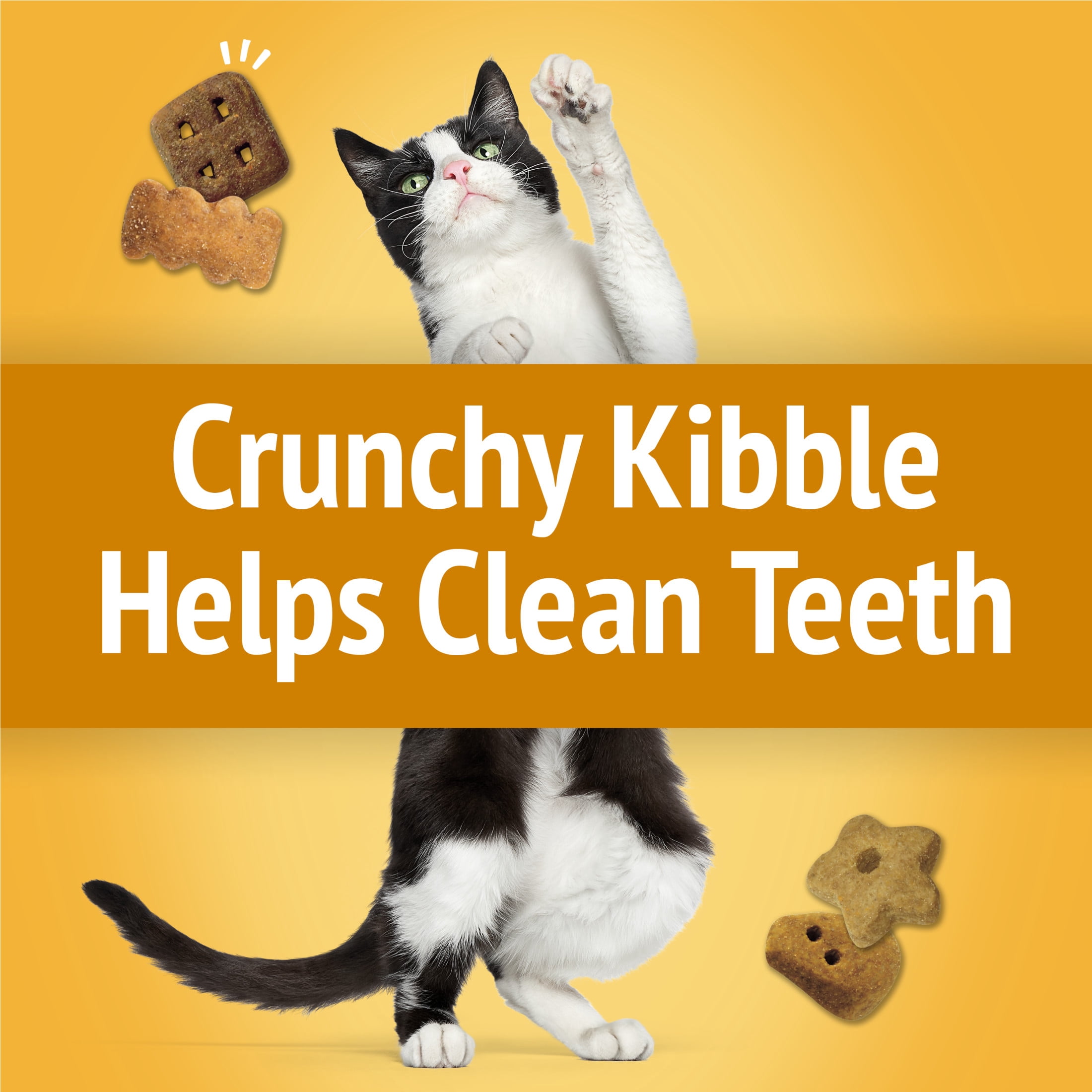 Friskies Party Mix Cheezy Craze Crunch avec du vrai fromage, Gâteries pour chats, 510 g