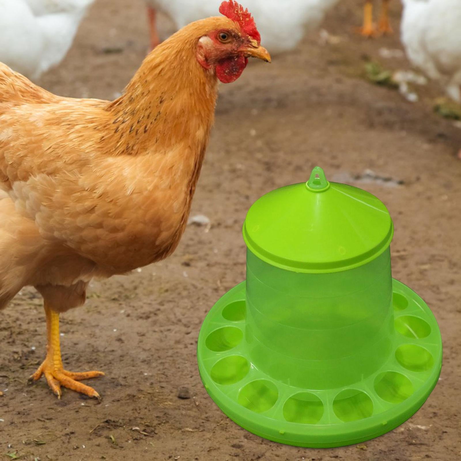 Mangeoire à Poulet Automatique 11 Trous - Distributeur De Nourriture Pour Cailles, Pigeons Et Oiseaux