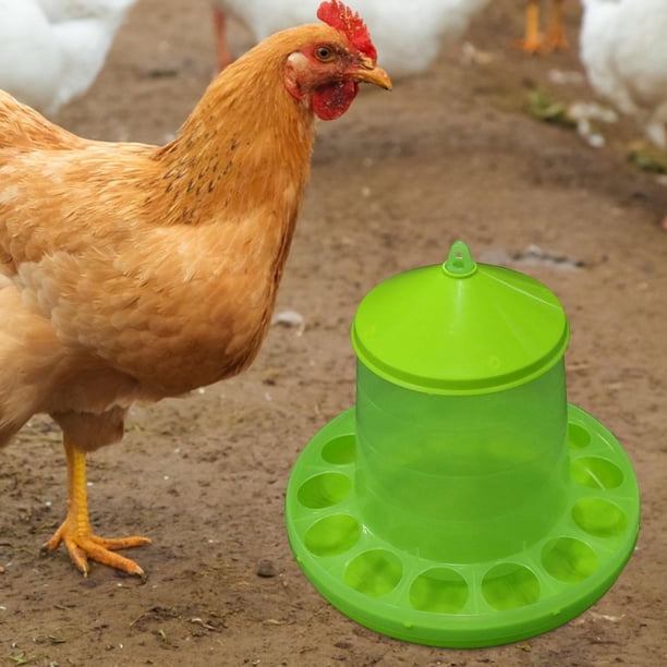 Mangeoire à Poulet Automatique 11 Trous - Distributeur De Nourriture Pour Cailles, Pigeons Et Oiseaux