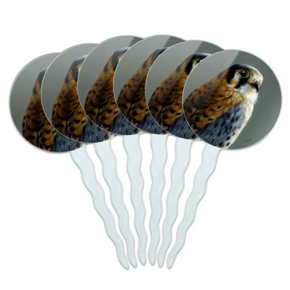 American Kestrel on Branch Painting Cupcake Picks Toppers Decoration Set of 6