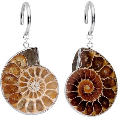 Fossil Candy - Body Candy Handcrafted 2.4mm Ear Hanger 2Pc Steel Spiral Ammonite Fossil Hook Ear Weights 10 Gauge