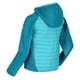 thumbnail image 4 of Regatta - Chaqueta Aislante Kielder V para Niños/Niñas (Turquesa, Esmaltado), 4 of 5