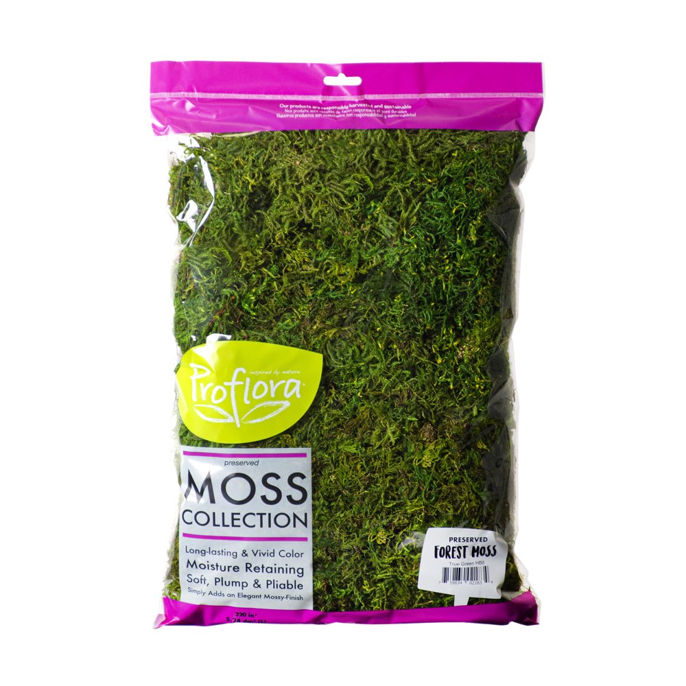 Forest Moss Pr Hb8