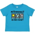 thumbnail image 3 of Inktastic Meteorologist Weather Prophet Boys or Girls Baby T-Shirt, 3 of 5