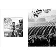 thumbnail image 5 of Vineyards : Photographs by Fred Lyon (beautiful photographs taken over seventy years of visiting vineyards around the world) (Hardcover), 5 of 12