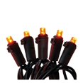 thumbnail image 1 of Luces de halloween Way to Celebrate con 100 luces mini led color naranja 6m, 1 of 3