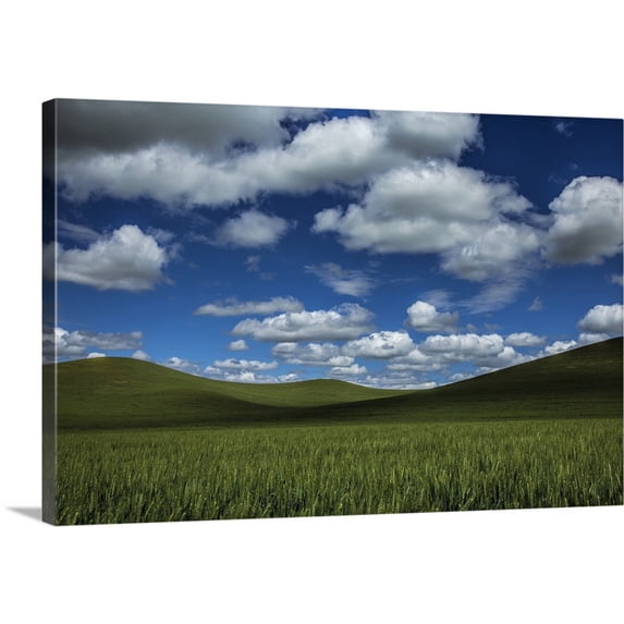 Great BIG Canvas | "Powerful clouds and green wheat fields in the Palouse region of Washington" Canvas Wall Art - 30x20