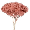 thumbnail image 2 of Vickerman 15" Erika Pink Hydrangea with Multiple Branch Segments, Preserved, 2 of 4
