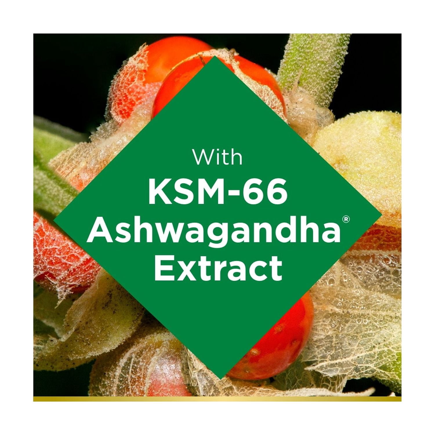 (3 pack) Nature’s Bounty Ashwagandha Gummies for Stress Support, KSM-66 300mg, Mixed Berry, 60 Gummies