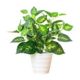 thumbnail image 2 of Artificial Green Potted Plants Simulation Small Faux Plant with Pot Decorative Plastic Greenery for Home Office Desk Tabletop Living Room Hotel Lobby Decoration, 2 of 6