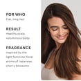 thumbnail image 4 of NATURELAB. TOKYO Perfect Volume Shampoo & Conditioner Duo: Weightless Frizz Control for Smoother, Healthier Hair and Scalp I 11.5 FL OZ Each | $38 VALUE, 4 of 7