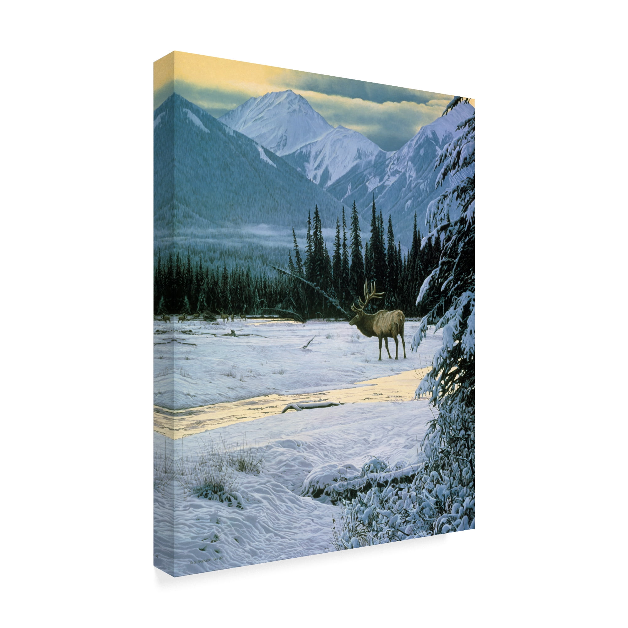 Trademark Fine Art 'Yellow Dawn American Elk' Canvas Art by Ron Parker