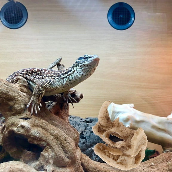 LEORX Beige Rhino Skull Resin Hideout for Reptile Tank and Frog Terrarium