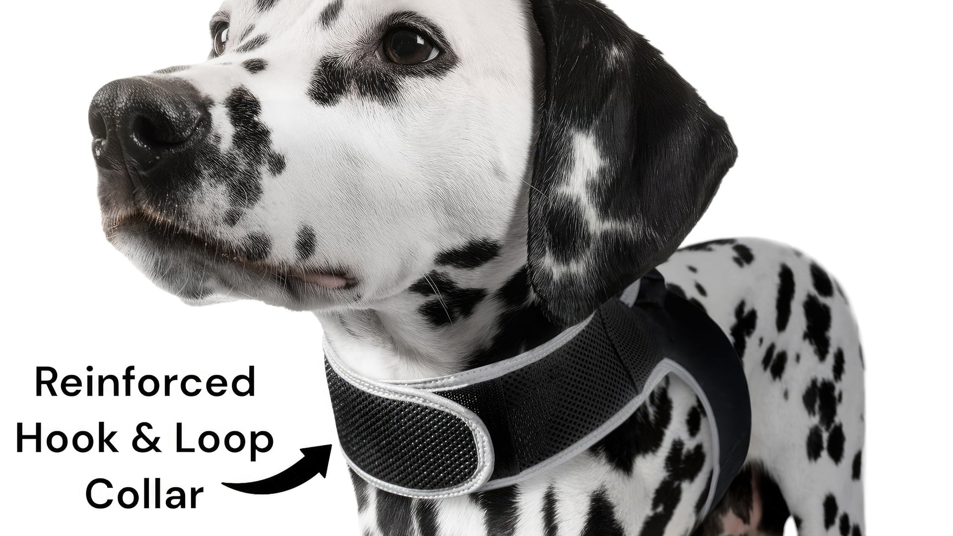 Rechargeable GSM Dog GPS Mini Collar Mounted Realtime Tracker with Gyro System Size:XXL
