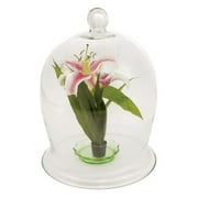 Achla VBJ-03 Bell Jar Garden Planter - Clear