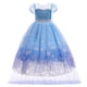 thumbnail image 1 of Disfraz de princesa Elsa Frozen para niñas, vestido de fiesta de Frozen, malla de lentejuelas, vestido de cumpleaños Fivean unisex, 1 of 2