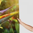 thumbnail image 3 of Orinice  Plant Shower Curtain, Close-up Image of Strelitzia Reginae Bird of Paradise Flower Madeira Island Portugal, Fabric Bathroom Decor Set with Hooks, 105 inches Extra Wide, Multicolor 36x72, 3 of 7