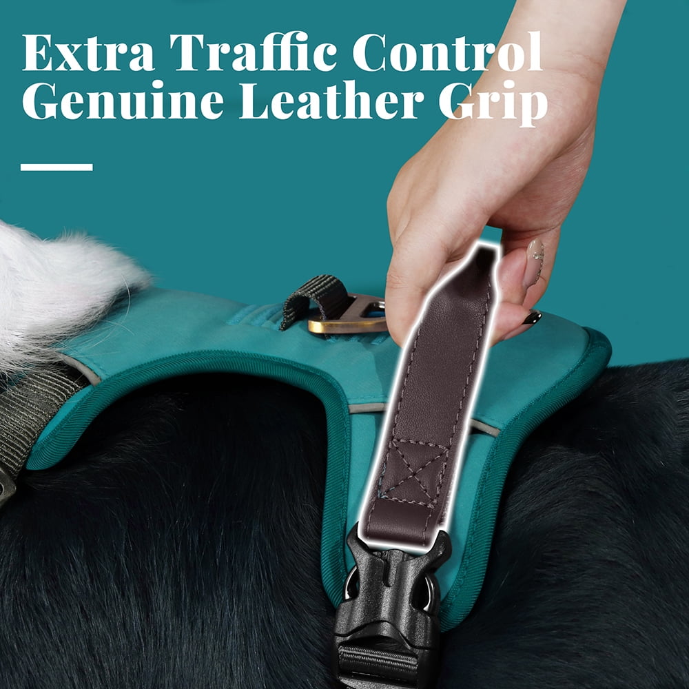 Didog No Pull PU Leather Dog Harness Adjustable Pet Sport Vest with Handle Quick Fit