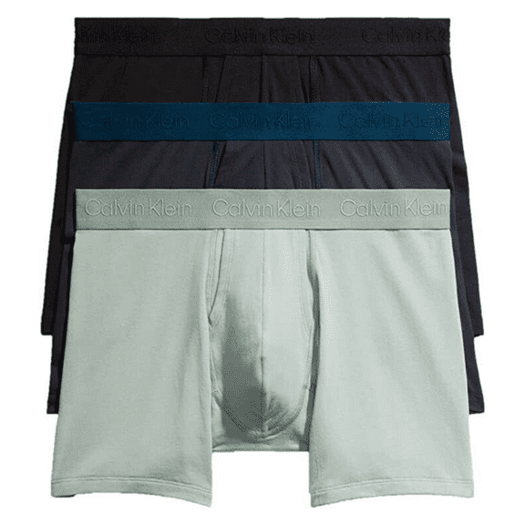 Calvin Klein Men's Standards 3-Pack Boxer Brief, Navy, SAGE, Black; XS