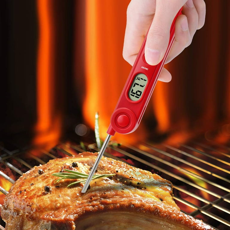 ThermoPro TP03A Instant Read Meat Thermometer, Foldaway Probe, LCD
