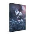 thumbnail image 3 of Trademark Fine Art Fabien BRAVIN The divine sound of creation Canvas Wall Art, 3 of 4