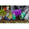 thumbnail image 5 of 26-27 Rain Gauge with Detachable Spiral Shap, Garden Rain Water Meter Measuring with Metal Frame, No Assembly Rain Measure (A), 5 of 5