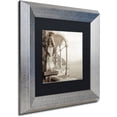 thumbnail image 2 of Trademark Fine Art "Giardini Italiano IV" Canvas Art by Alan Blaustein, Black Matte, Silver Frame, 2 of 4