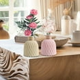 thumbnail image 6 of Btomtd 2pcs Versatile European Style Vase for Home Decor, Modern Vases for Both Dried and Fresh Flower Arrangements, Elegant Floral Pot for Room, Pink, 6 of 6
