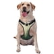 thumbnail image 1 of Balery Fog Forest Arnés para Perros Grandes Antitirones, Arnés con Correa para Gato, Arnés Tipo Chaleco para Perros Pequeños-Small, 1 of 6