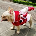 thumbnail image 3 of Liquidación de adornos navideños para perros, ropa, adornos navideños verdes, liquidación de adornos navideños, decoración, adorno navideño para exteriores, regalo, traje de montar, figuras de Papá, 3 of 6