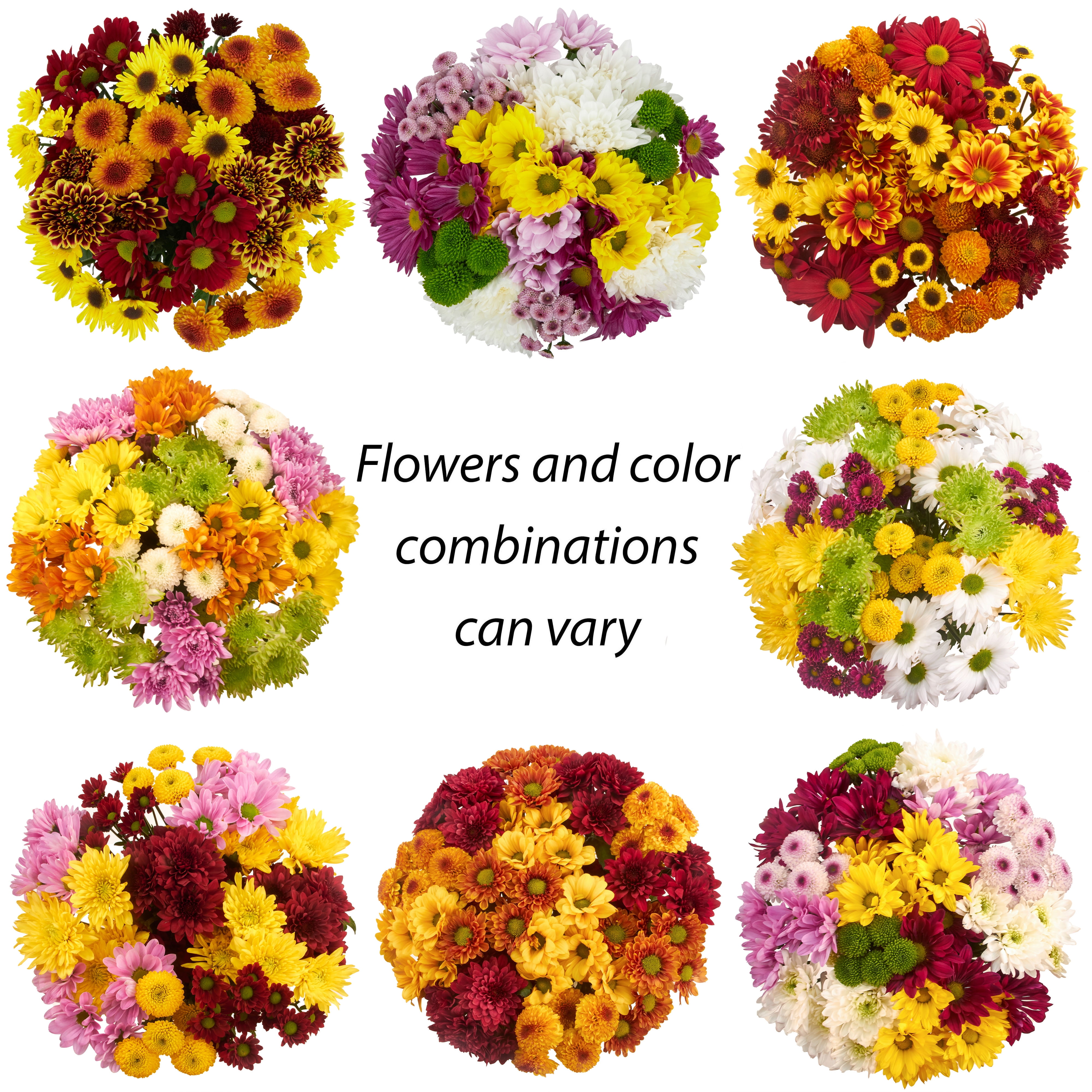 Rainbow Pom Flower Bunch Large, Colors May Vary