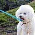 thumbnail image 2 of HLONK Puppy Training Supplies Leash for Puppies Small Dog Leashes Walking Outdoor Ropes, 2 of 6