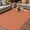 Orange, variant on Outdoor Rug for Patio 4'x6',Birds Silhouette on Rustic Branches Non-Slip Area Rugs Washable Carpet Indoor Rug,Blue Bird Animal on White Non-shedding Floor Mats for Porch Living Room Deck
