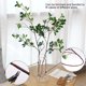 thumbnail image 3 of OROMYO 2 Ramas de Imitación Artificial Tallos Verdes Reutilizables Ramita de Imitación Ficus con Hojas de Eucalipto Verdes Imitación Decorativa Realista Planta Verde de Simulación Plants para Jardín Balcón, 3 of 9