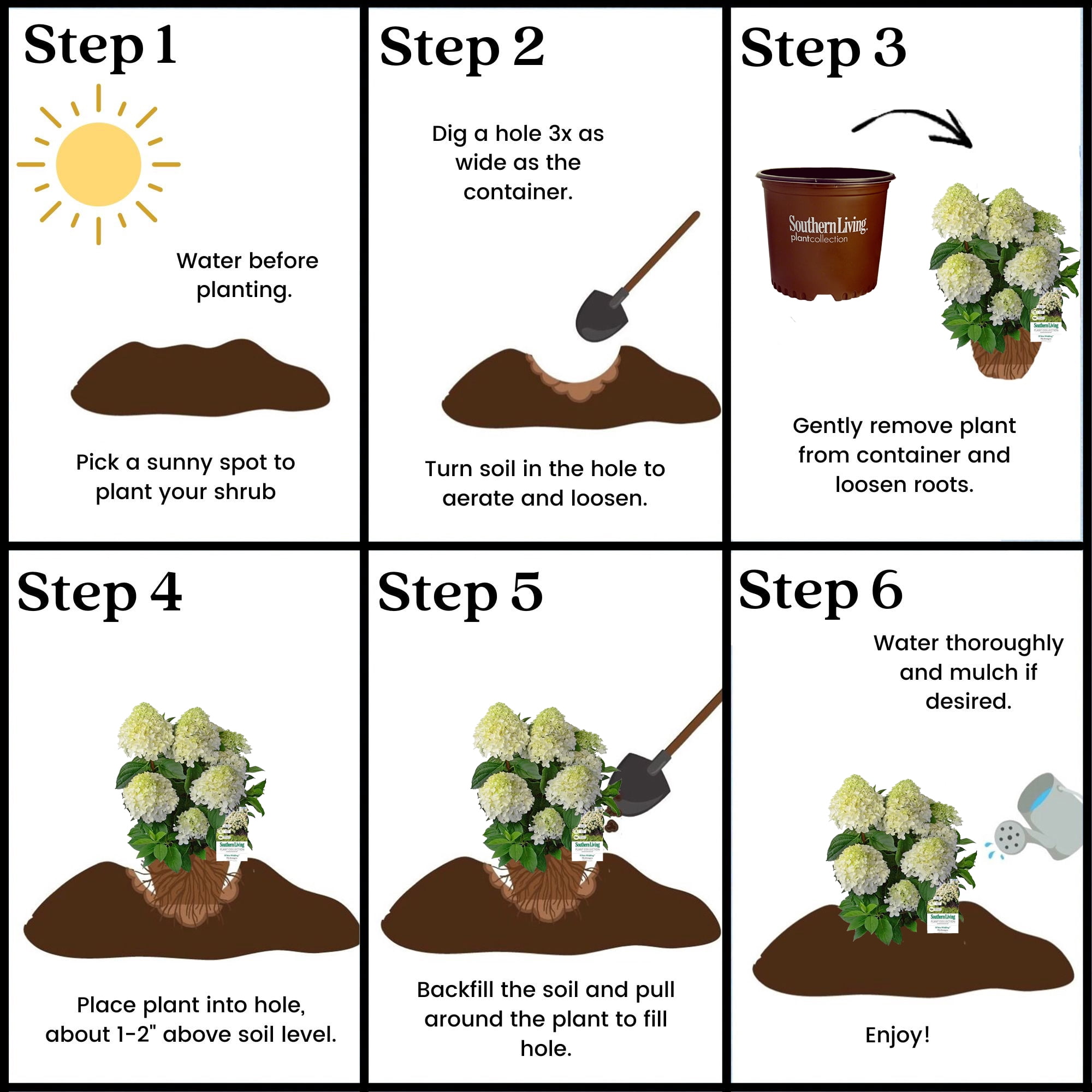 Southern Living Hydrangea White Wedding Live Shrub in 2-Gallon Grower Pot