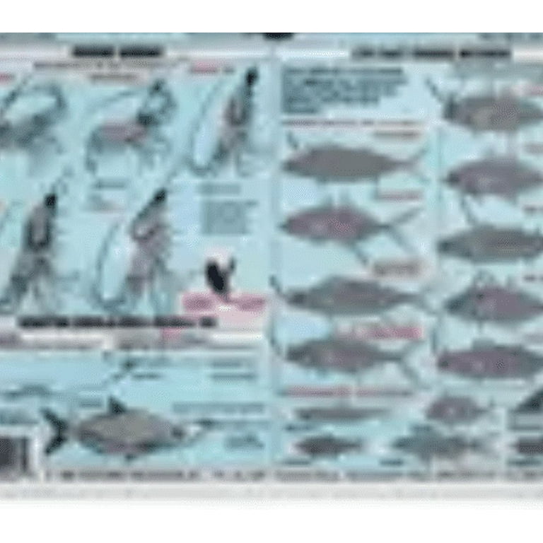 Waterproof Offshore Bait Rigging Chart #1, Multi-Colored