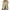 Beige, variant on Wyobmus Womens One Button Blazer Lightweight Work Office Blazer Stretch Lapel Collar Long Sleeve Jacket Suit Blazer Olive Green