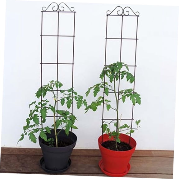 SeekLGT Garden Plant Trellis, Metal Climbing Plant Support Rack for Outdoor Flowers and Vines, 20x6 In Decorative Vertical Growth Stand for Home Yard, 1PC