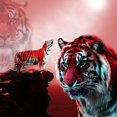 thumbnail image 1 of Tiger 5D DIY Full Drill Diamond Painting, 1 of 3