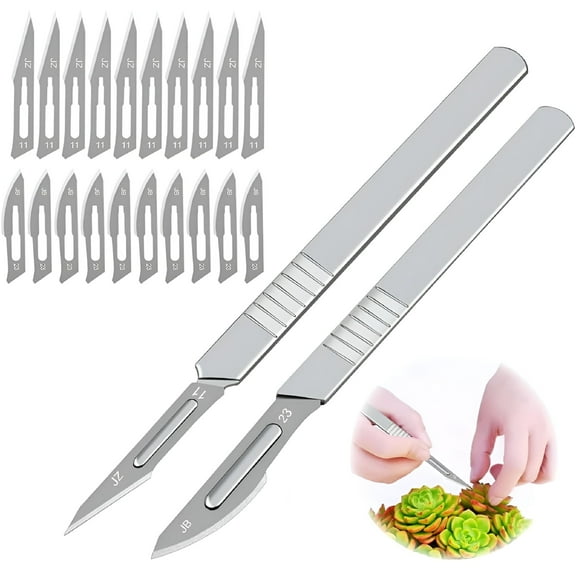 FACEGA Stainless Steel Straight Blade Garden Hip Pocket Knife Outdoor Carving Knife Cutter Knife Scalpel Includes 20 Replacement Blades