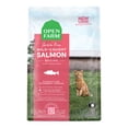 thumbnail image 1 of Wild Salmon Adult Cat Dry Food - Dry Cat Food, 1 of 2