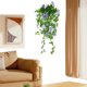 thumbnail image 5 of Petunias Falsas Morning Glory Vines Plantas Colgantes para Del, 5 of 9