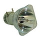 Lampe de Projecteur Originale Philips pour Mise au Point IN2114 (Ampoule Seulement) – image 2 sur 5