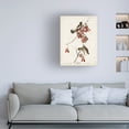 thumbnail image 3 of John James Audubon 'Rice Bird' Canvas Art, 3 of 3