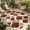 Dark Brown, variant on Indoor Outdoor Area Rugs,Vintage Farm Western Star Washable Patio Rug Non-slip Quick Dry Camping Rugs,White Wood Grain Floor Carpet for Porch Deck Backyard RV Decor,5x8ft