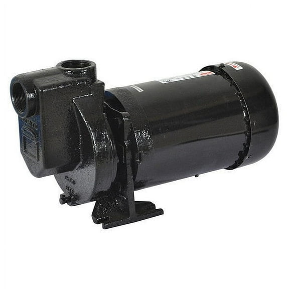 Dayton Self Priming Pump,1 HP,Cast Iron 2ZXP4