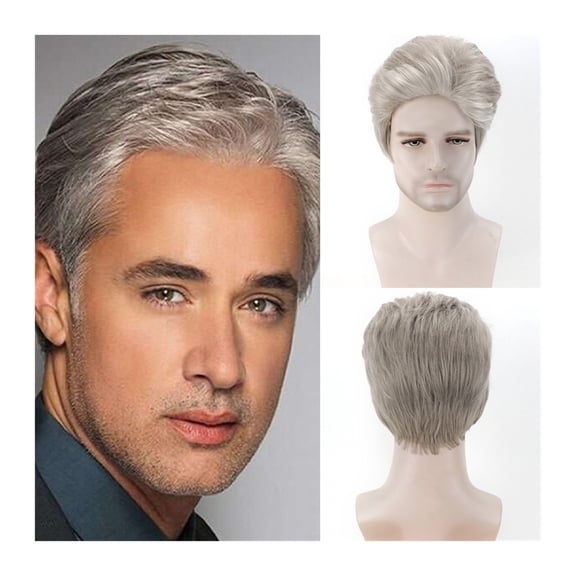 Short Ombre Silver Grey Wigs for Men Male's Toupees Short Synthetic Straight Wig for Daily Cosplay Party Natural Heat Resistant Fiber Wig