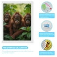 thumbnail image 3 of Diamond Art Kit for Adults, Orangutans Jungle Greenery Diamond Painting for Adults Beginners, 5D DIY Diamond Art Painting Kits, Colorful Diamond Painting Craft for Home Decor 12x16, 3 of 7
