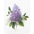 thumbnail image 2 of Nan 12x14 White Modern Wood Framed Museum Art Print Titled - Lilac Romance I, 2 of 4